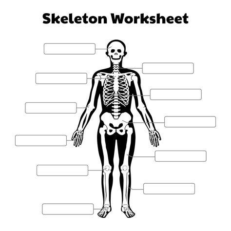 Skeleton Printable Pdf