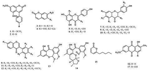 Sci. Pharm. | Free Full-Text | Secondary Metabolites of Endophytes Associated with the ...