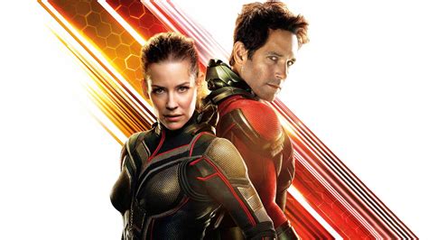 Ant-Man and the Wasp (2018)- After the Credits | MediaStinger