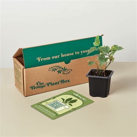 Indoor House Plant Box — houseplantbox.com