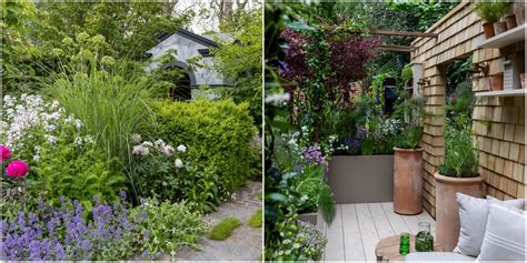 Chelsea Flower Show 2023: the RHS garden filled with the royal family 's favourite plants ...