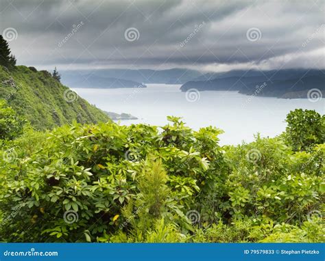 Cloudy Bay of Marlborough Sounds New Zealand Stock Image - Image of ...