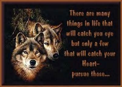 Wolf Love Quotes. QuotesGram