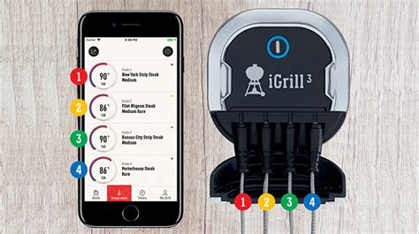 Weber iGrill 3 Review | The Highs and Lows of Weber's Cool Thermometer