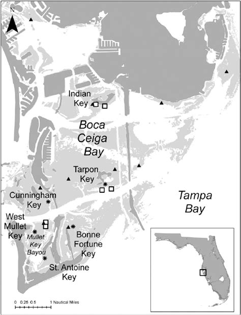 Boca Ciega Bay study area, located in lower Tampa Bay, with adult... | Download Scientific Diagram