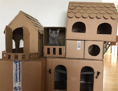 Instead of buying expensive cat houses, make them out of cardboard : r/lifehacks