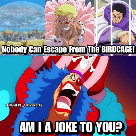 Never underestimate Captain Buggy : MemePiece