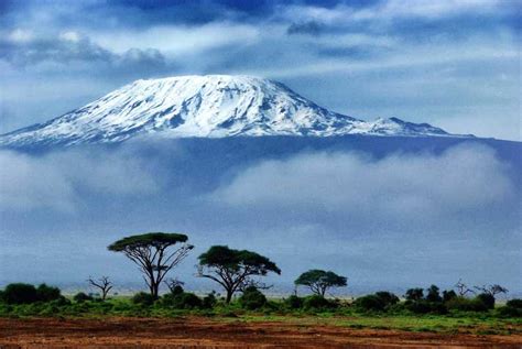 De Arusha: caminhada de um dia no Monte Kilimanjaro | GetYourGuide