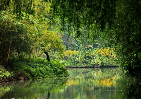 Nansha Wetland Park | Wetland park, Scenery, Wetland