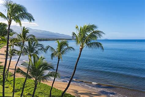 What is The Weather Like in Kihei, Maui? - Mauihacks