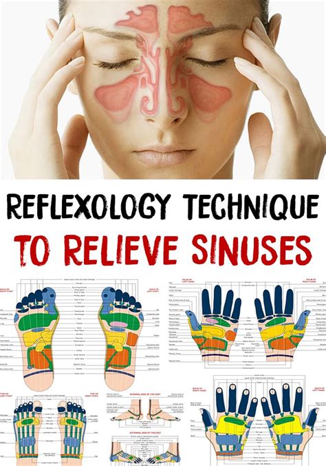 Sinuses - Reflexology Technique to Relieve Sinuses | natural solutions ...