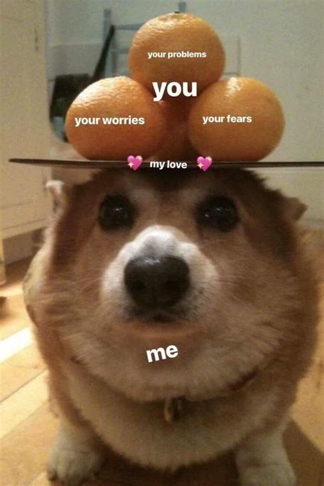 Ill be there for you.https://ift.tt/2xZmnO7 | Wholesome memes, Cute ...