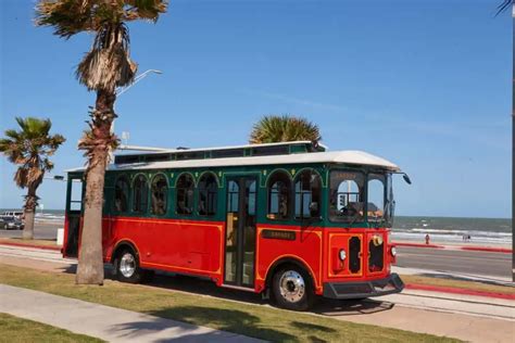 13 Things to Do at Galveston Cruise Port