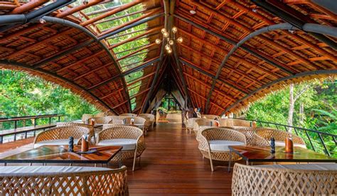 Three Monkeys: The New Phuket’s Dining Experience in Green Season ...