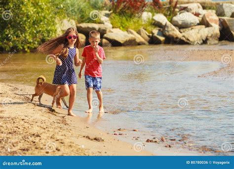 Kids playing with his dog. stock photo. Image of canine - 80780036