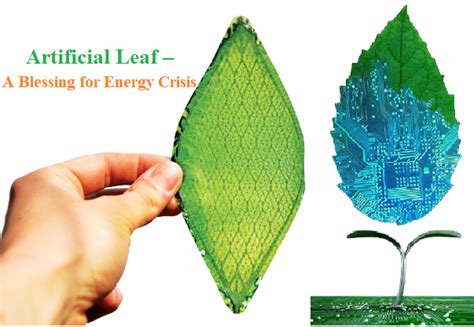 Artificial Leaf – A Blessing for Energy Crisis