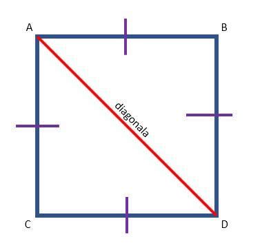 Cu cât e egală diagonala unui pătrat? - Brainly.ro