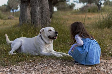 Safe Play Between Children and Dogs | Gulf Coast K9 Dog Training