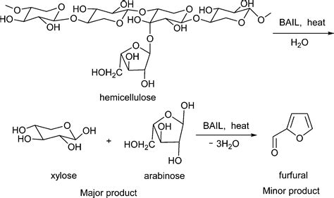 hemicellulose,gn,p(第13页)_大山谷图库