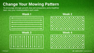 8 Lawn Mowing Tips and Tricks