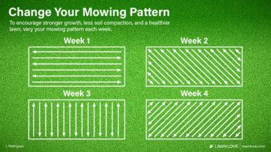 8 Lawn Mowing Tips and Tricks