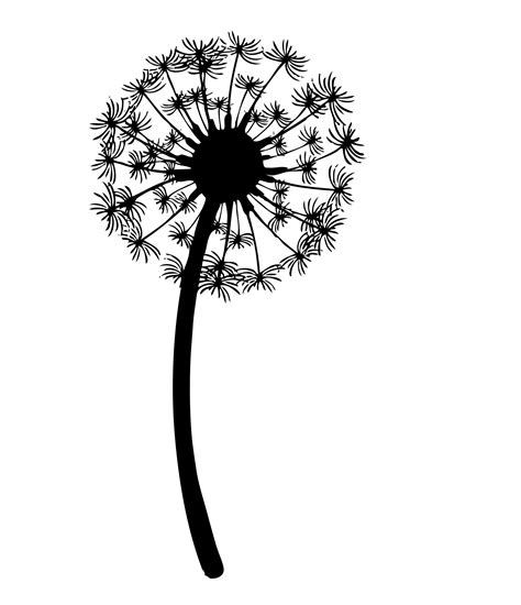 Dandelion Flower Drawing | Free download on ClipArtMag