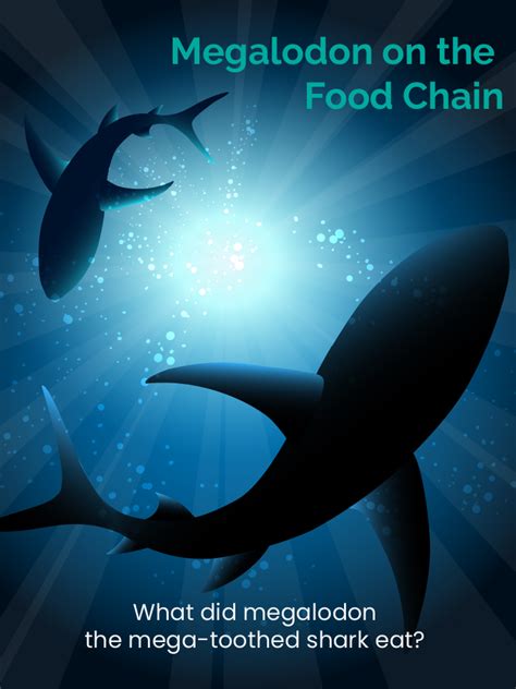 Megalodon On the Food Chain | Read summarised research articles