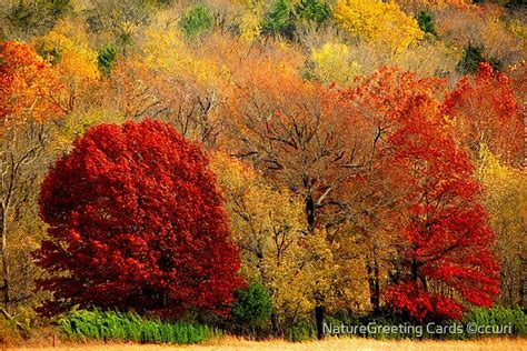 "Mother Nature's Painting Her Landscapes, Again!" by NatureGreeting Cards ©ccwri | Redbubble