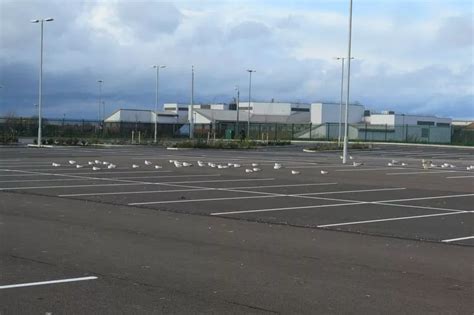 James Cook Hospital car park STILL closed two months after Trust said it hoped to open 'soon ...