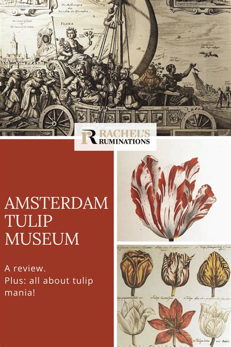 Amsterdam Tulip Museum review - Rachel's Ruminations