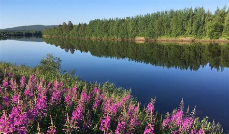 Lapland in the Summer - Adventures in Northern Finland and Norway