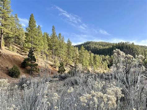 Best Hiking Trails In Santa Fe National Forest (2023) - Hikers Daily