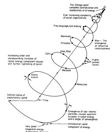 The Meaning of the Spiral Symbol: Unraveling its Mysteries - Impeccable Nest