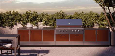 Danver Stainless Steel Outdoor Cabinets | Cabinets Matttroy