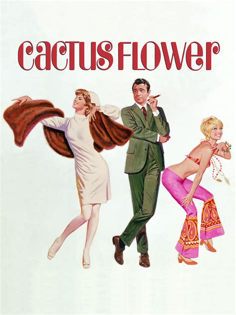 Cactus Flower - Where to Watch and Stream - TV Guide