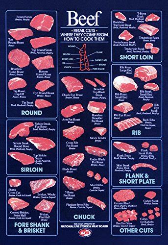 Retail Beef Cuts Poster, Vintage Butcher Chart, Brisket, Ribs, Sirloin ...