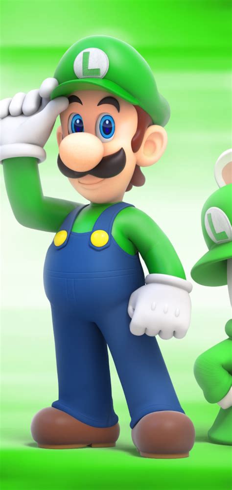 1080x2280 Resolution Luigi Mario Raving Rabbids One Plus 6,Huawei p20 ...