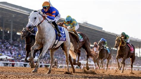 White Abarrio Powers Clear to Win Breeders’ Cup Classic | America's ...