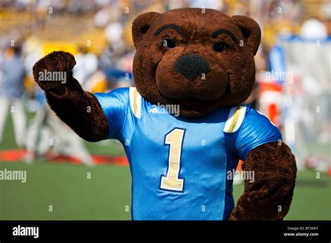 UCLA Bruins bear mascot at Memorial Stadium, University of California ...