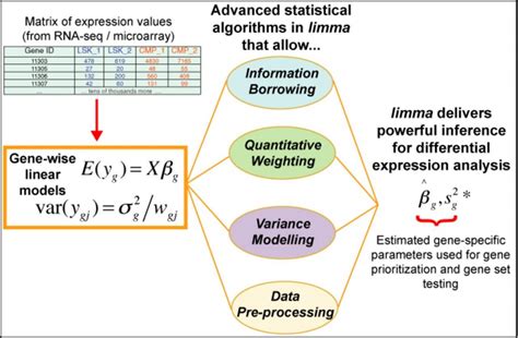 Microarray analysis workhorse limma – now capable of differential ...