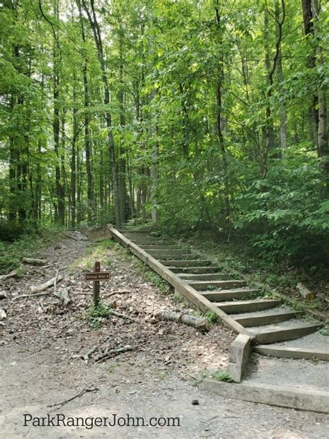 Elkmont Campground - Great Smoky Mountains National Park | Park Ranger John