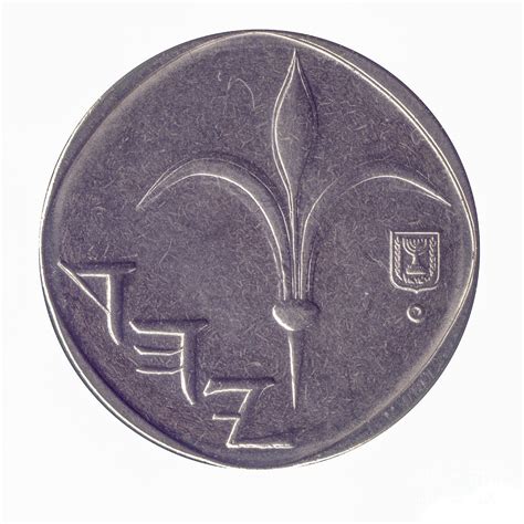 One New Israeli Shekel coin 1 Photograph by Ilan Rosen - Fine Art America