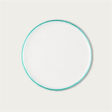 Modern Clear Glass Dinner plate – The Social Kitchen