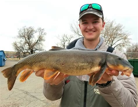 April 3rd’s Interview of the New Longnose Sucker fish State Record Holder Jacob Bernhardt ...