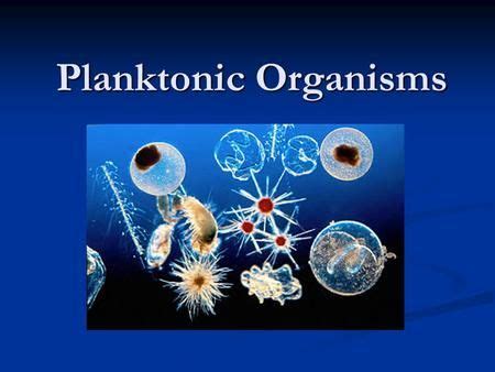 Planktonic Organisms. Introduction Plankton = Organisms that drift in ...