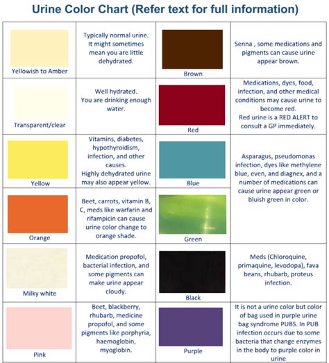 Urine Color Chart and Meaning | HubPages