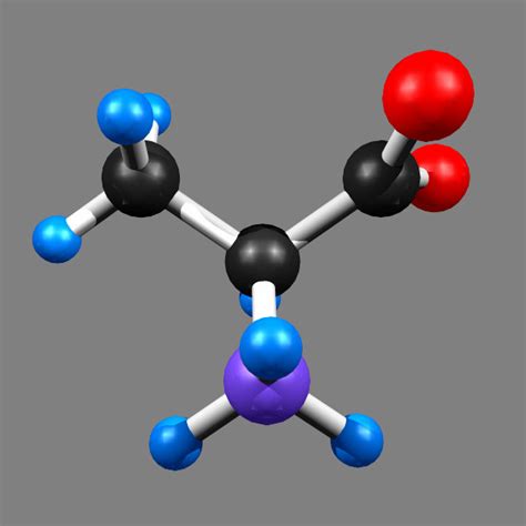 Alanine organic compound 3D model - TurboSquid 1186753