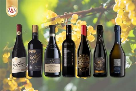 Top 7 Italian Wines To Try This Year