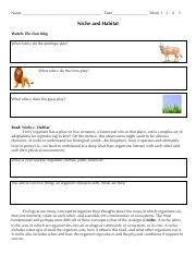 Ecological Niches - Worksheets Library