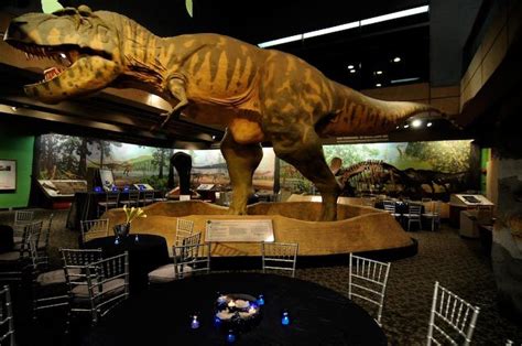 Event Spaces | Museum of Science, Boston | Space museum, Event space ...